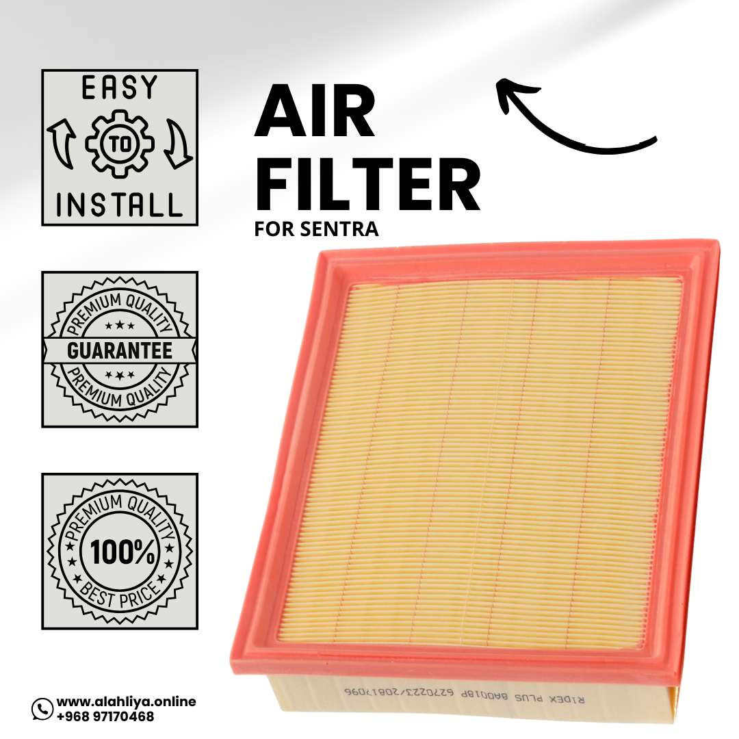 16546JG30A Air Filter for Nissan Sentra